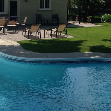 A backyard pool.