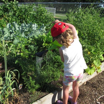 A young gardener tending to a community garden.
