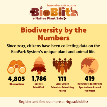 BioBlitz 2019 - biodiversity by the numbers graphic