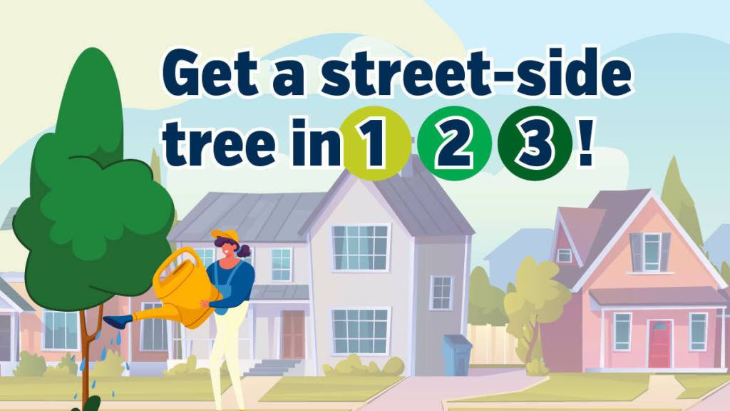 Get a street side tree in 1, 2, 3 promotion